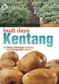 Budi daya kentang