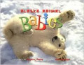 Alaska Animal Babies