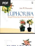 Euphorbia : Tampil Prima dan Semarak Berbunga
