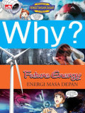 Why? Future Energy = Energi Masa Depan