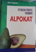 Petunjuk Praktis Menanan Alpokat